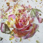 عکاس آلمانی، Martin Klimas