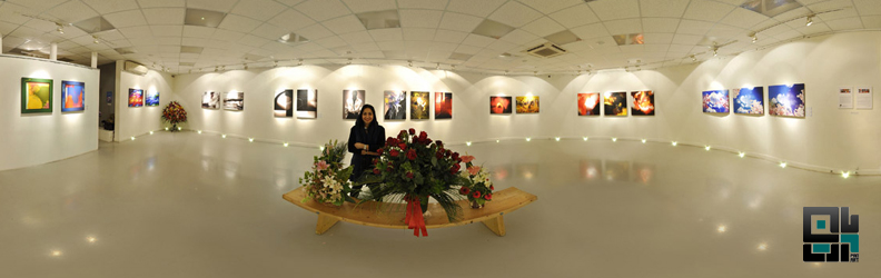 خانه هنرمندان ایران و گردش مجازی در نمایشگاه شادی بنی صدر