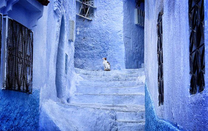 شفشاون  شهر آبی مراکش